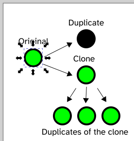 duplicates of the clone