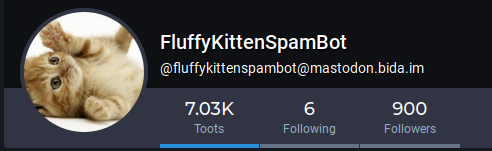 image of kitten bot account