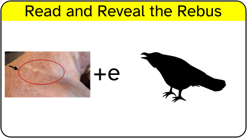 rebus puzzle